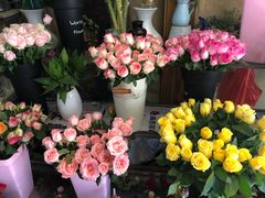 -沪花拾者(好再来花卉鲜花店)