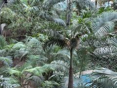 -黑龙江中医药大学附属第一医院