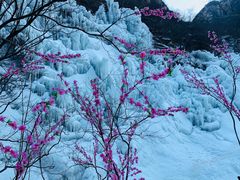 -黑龙潭风景区