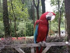 -贵州森林野生动物园
