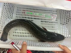 -胖子鱼·油泼甘谷辣子炝活鱼(秦州407店)