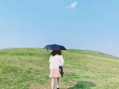 -恋山坝上草原