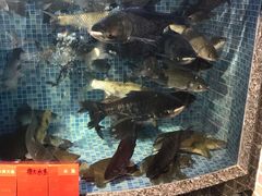 水产区-德胜轩正宗顺德菜(宝安沙井会展中心店)