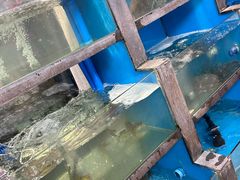 -品鲜村农家菜·阳澄湖大闸蟹(总店)