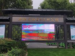 -合肥滨湖国家森林公园