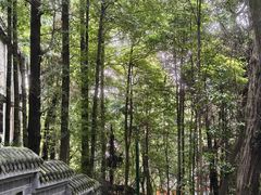 -成都老君山