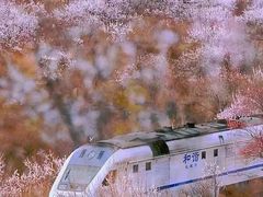-居庸关长城