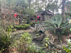 -青城甲(青城山店)