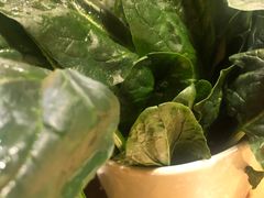 -大龙辣火锅·龙虾·烧烤(湖滨新天地店)