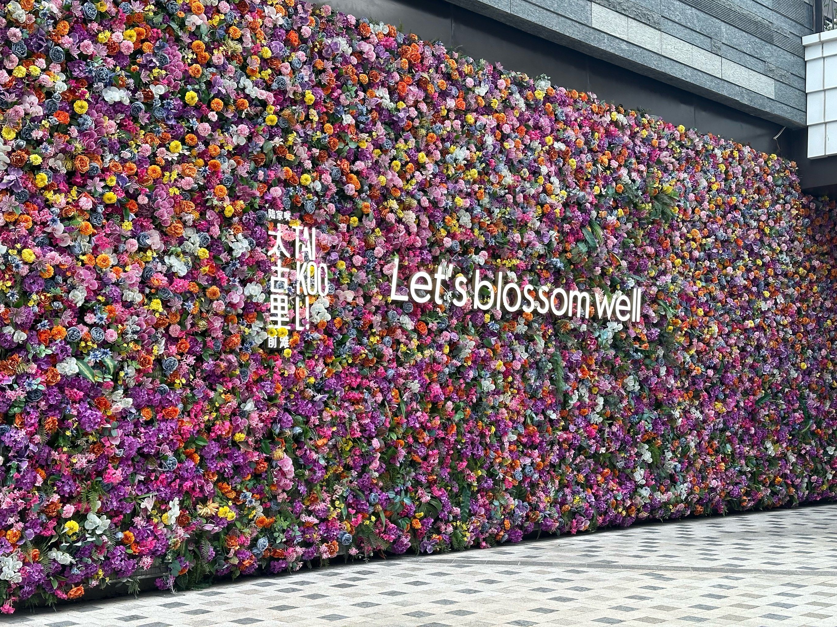 玫瑰花墙美翻天