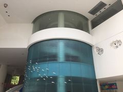 -深圳东部华侨城瀑布酒店