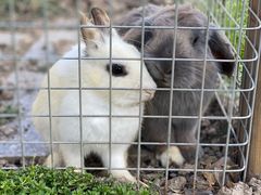 -美家乐农庄·露营·团建(大治路店)