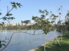 -白沙门生态公园