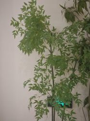 点击看大图 -Lily纤美·科技减脂中心