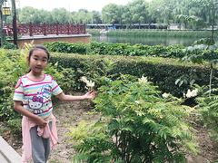 -西安汉城湖景区