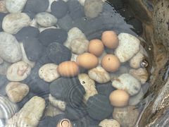 -麦积山温泉
