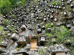 -神农架景区