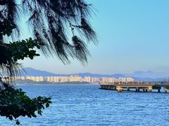 -深圳湾公园(南山区)