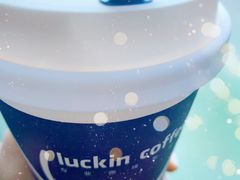 -luckin coffee瑞幸咖啡(绿地凤起店)