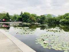 -白马涧龙池景区