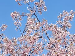 -新江湾城公园
