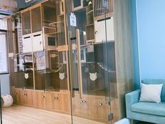 -老吴的猫·猫舍(新区店)