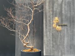 -晶采轩(万象天地店)