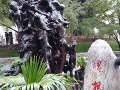 -大槐树寻根祭祖园