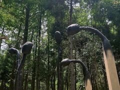 -东平国家森林公园
