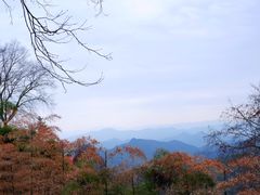 -莫干山风景区