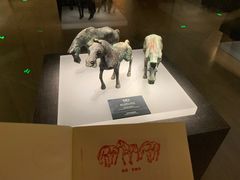 -邯郸市博物馆(新馆)