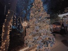 -宝莱纳啤酒花园餐厅PAULANER BRAUHAUS Nanjing(广州路店)