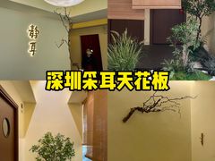 -静耳元気采耳·按摩·SPA(万象前海店)