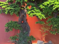 -阿伟海鲜楼·福建菜(延寿店)