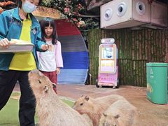 -正佳雨林生态植物园