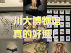 -四川大学博物馆