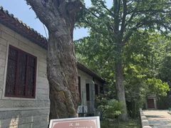 -青岛崂山太清宫
