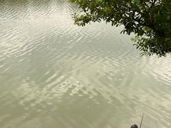 -凤岗南门山森林公园