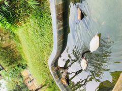 -熊猫自助餐厅.萌趣城堡(长隆熊猫酒店)