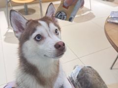 -威高广场