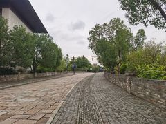 -广富林郊野公园