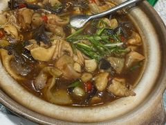 -丁老爷子苏香圆
