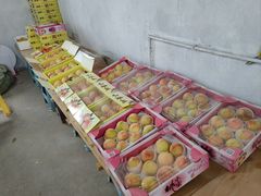 -南汇水蜜桃采摘(大团店)