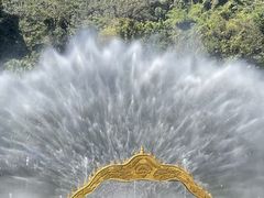 -西双版纳原始森林公园
