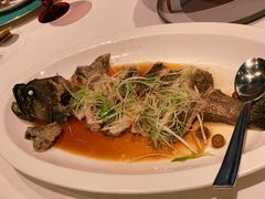 石斑鱼-三号黄浦会Canton Table