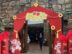 -杭州开元森泊度假乐园
