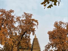 -北京石刻艺术博物馆(五塔寺)