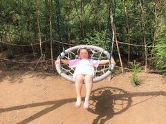 -欢乐松鼠谷