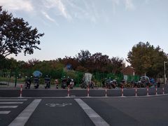 -新江湾城公园