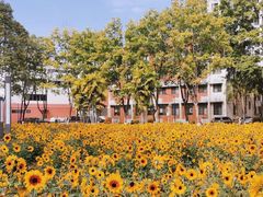 -华南师范大学(广州大学城校区)